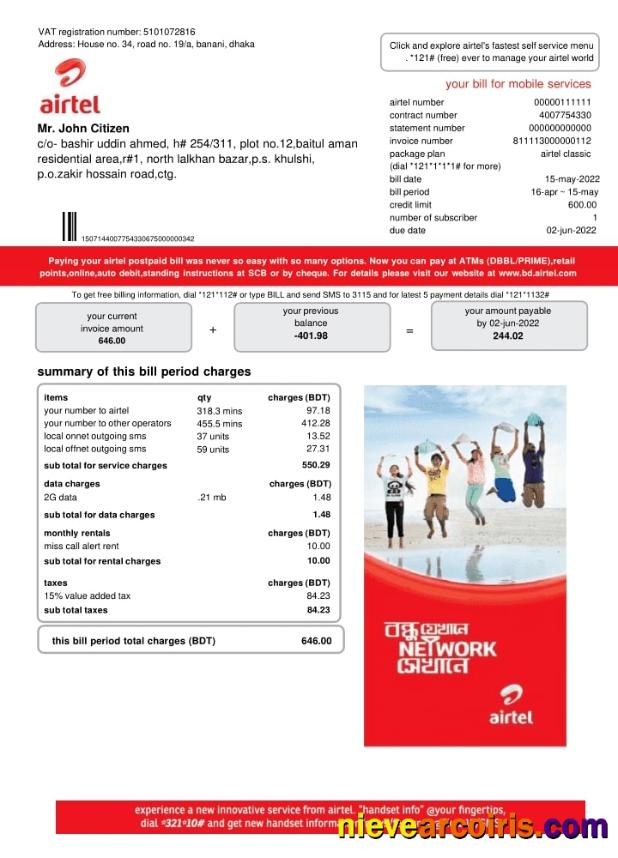 India Airtel telecommunication services utility bill